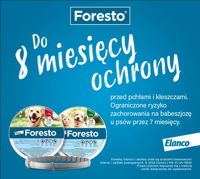 Jak działa obroża na pchły? Poznaj skuteczność i działanie!