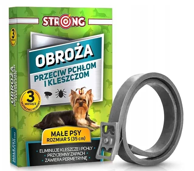 Najlepsze obroże przeciwpchelne dla psa – uniknij nieprzyjemności z pchłami