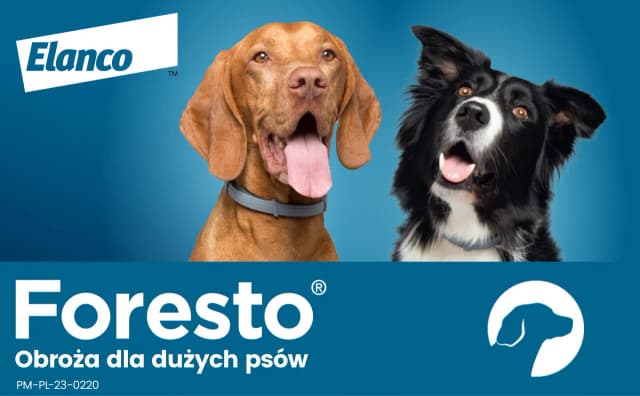 Obroża Foresto czy tabletki - co wybrać dla swojego psa?